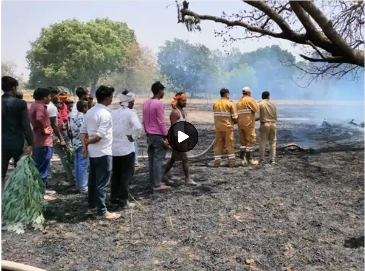 अयोध्या में दो जगहों पर लगी आग:9 दलित परिवारों के घर जले, 38 बीघा गेहूं और 300 सागौन के पेड़ राख, लेखपाल ने सौंपी रिपोर्ट
