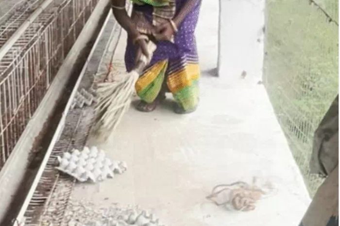 ब्लैकबोर्ड- पापा को मंदिर की सीढ़ियों से घसीटा, गाली दी:घर जला दिए, 26 साल से हम गांव जाने को तरस रहे