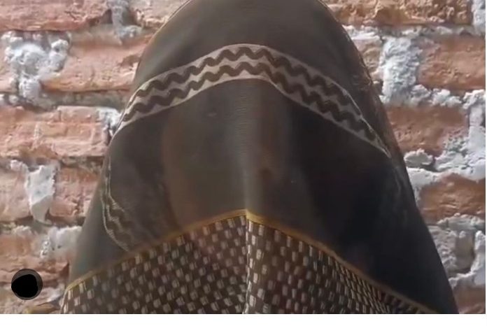 दलित महिला से दुष्कर्म का प्रयास, भाइयों ने पीटा:खागा के हथगांव पुलिस पर कार्रवाई न करने का आरोप