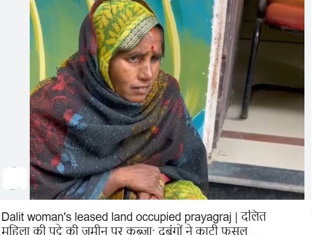 दलित महिला की पट्टे की जमीन पर कब्जा:दबंगों ने काटी फसल, पुलिस ने नहीं सुनी फरियाद, डीएम के पास पहुंची पीड़िता