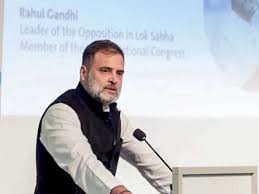 'अराजकता फैलाने की धमकी': बर्लिन में राहुल की 'लोकतंत्र' वाली टिप्पणी पर BJP का पलटवार; 'अराजकता चाहने' का आरोप लगाया