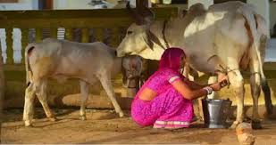 एक ट्रांसजेंडर महिला पशुपालन के ज़रिए अपने समुदाय को कैसे सशक्त बना रही है