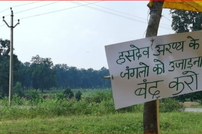 हसदेव-अरण्य में 4.48 लाख पेड़ काटने का प्रस्ताव, अडानी संचालित कोल ब्लॉक के लिए राजस्थान के पीएसयू ने मांगी मंज़ूरी