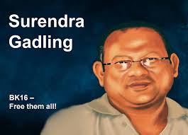 lawyer Surendra Gadling completed eight years in prison : Bhima Koregaon