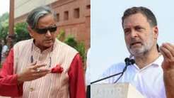 ‘I’m not a travel agent’: Shashi Tharoor when asked about Rahul Gandhi’s foreign trip